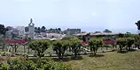 Certosa di San Giacomo - Capri