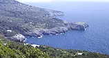 Damecuta - Capri